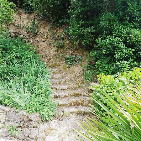 Les Acanthes Lauris エクステリア 写真